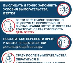 Антикор іс-шарасы 11