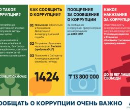 Антикор іс-шарасы 13